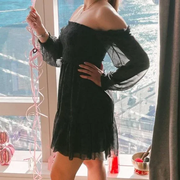 Aritzia Wilfred Tempest Sheer Mini Dress, size small